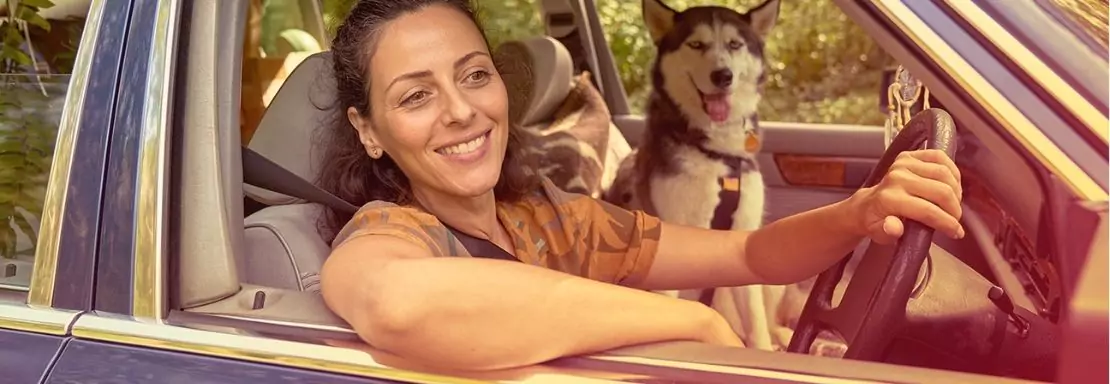 Vrouw rijdt in auto met hond op de achterbank